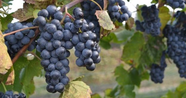 Rétrospective de l&rsquo;année 2017! Les mois de janvier, février et mars